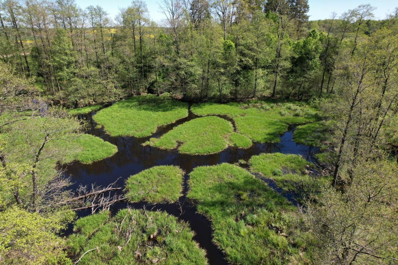 Willa Pod Debem Koczarki Exteriör bild