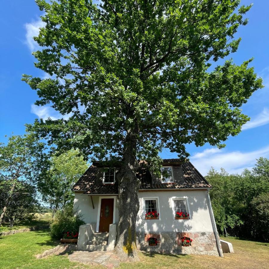 Willa Pod Debem Koczarki Exteriör bild