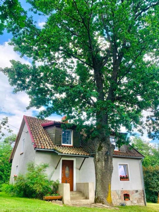 Willa Pod Debem Koczarki Exteriör bild